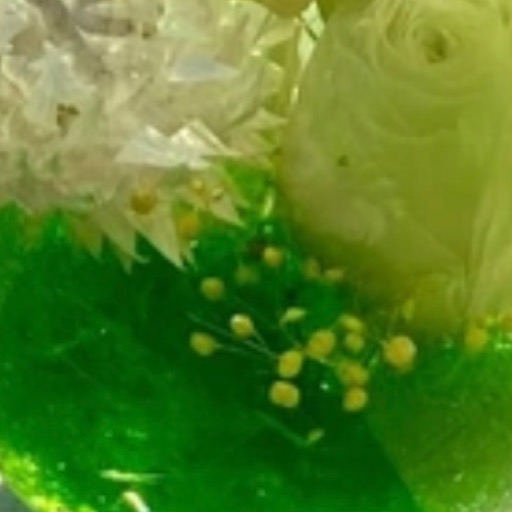 楽しみの森