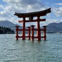 アオイ企画さんのプロフィール画像