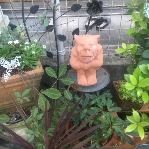 ペイぺ