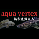 千葉県aquavertexさんのプロフィール画像