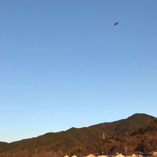 バロン