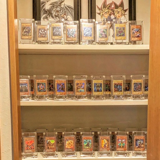 遊戯王 引退品 ２期 ノーマル 約760枚 まとめ売り セット トレカ 遊戯王 引退品 2期 ノーマル 約760枚 まとめ売り セット トレカ