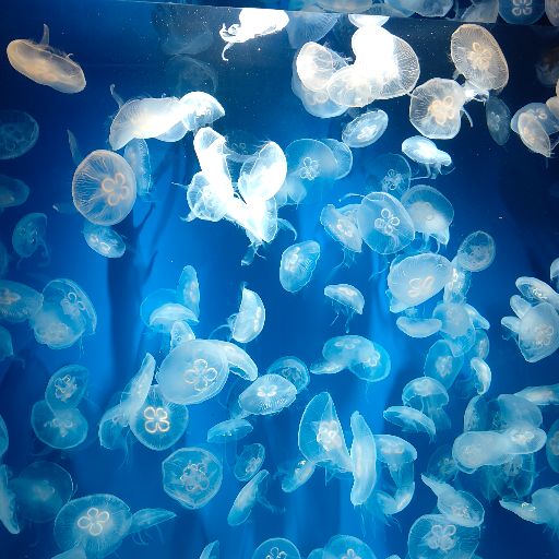 7TueV85TSw9rrc1omvBh1wyoFXgmT