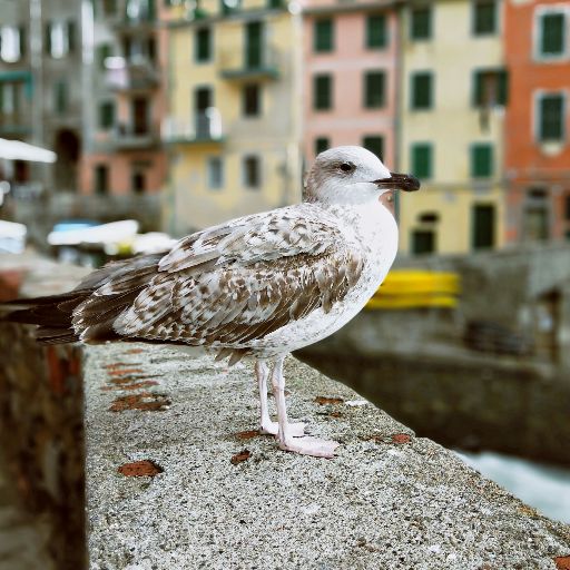 新品】Viviane Sassen & Emanuele Coccia ヴィヴィアン サッセン