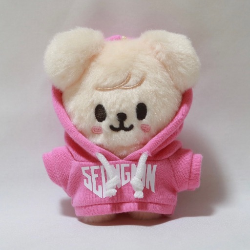skzoo スキズ ぬいぐるみ 服 パピーム スンミン｜Yahoo!フリマ（旧
