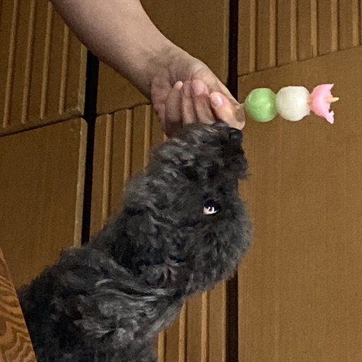 このみ