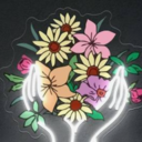 キララさんのプロフィール画像