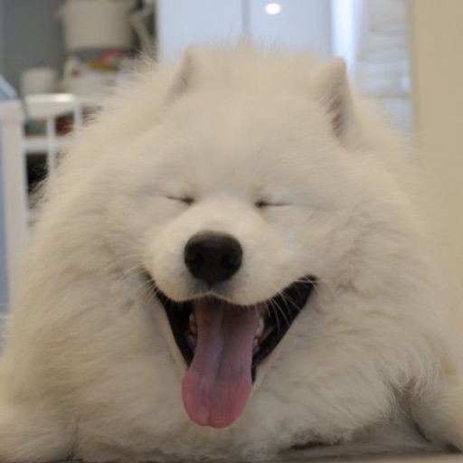 薮太郎
