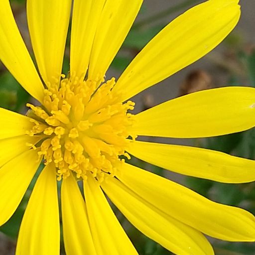 キシリッシュ　広末涼子　シール Yahoo!オークション - 切り抜き 広末涼子 ビーチボーイズ 聖者の