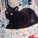 黒猫庵さんのプロフィール画像