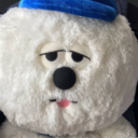 puaelさんのプロフィール画像