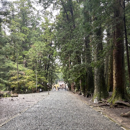 小松