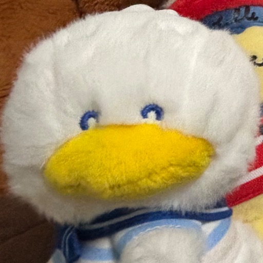 もこ