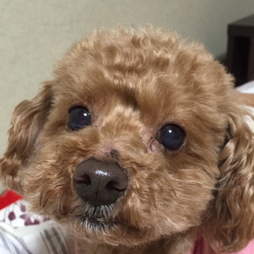 チロべスキン