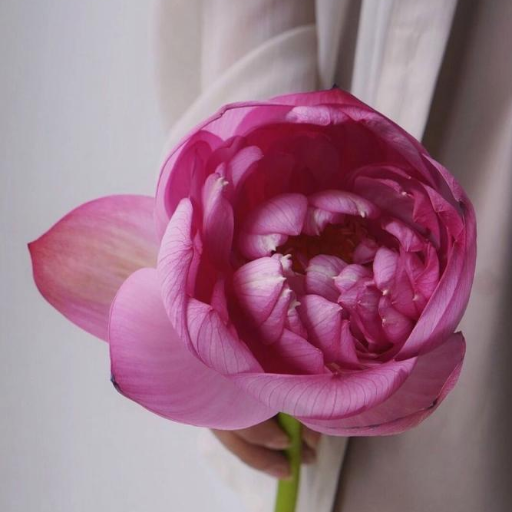 6pfysbfr82Kg5eoomcjn3SUdV7Xgg