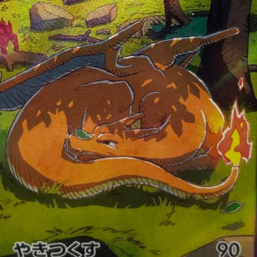 ポケモンカード ライコウV SAR PSA10 鑑定品 ポケカ｜Yahoo!フリマ（旧