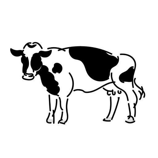 19s
