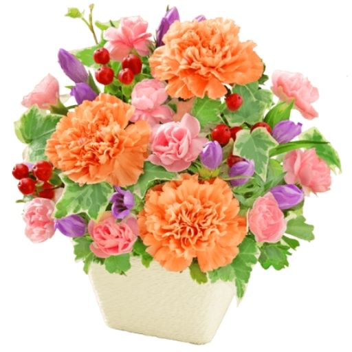 エクラン・デ・セゾン スウィーツクッキー詰合せ KCK-15｜Yahoo!フリマ