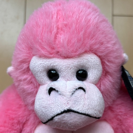 極美品・希少品】篠崎こころ コミックマーケット C106セット｜Yahoo