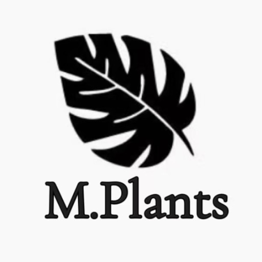 8pgHV1CA3Jyvm74rKNd1QHYBPrGea