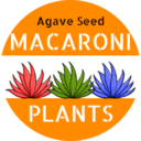 MACARONI PLANTSさんのプロフィール画像
