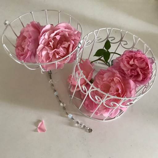 ワンダーデコール イヤープレート 馬｜Yahoo!フリマ（旧PayPayフリマ）