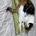 CeyDFCh5Rc3vZkLVcPoWUNjkhfgyY