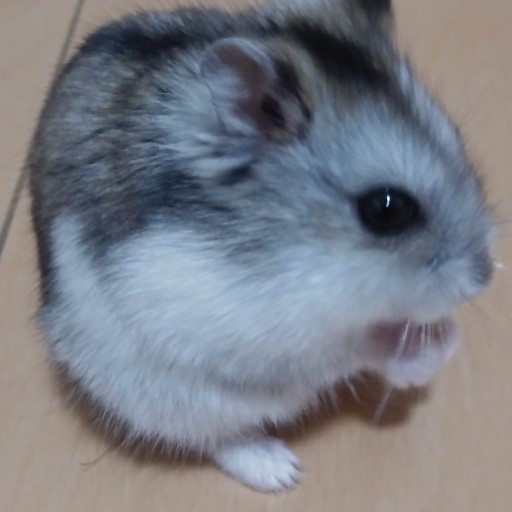 ばばちゃん
