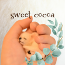sweet cocoaさんのプロフィール画像