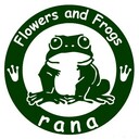 花とカエル雑貨rana(名古屋)さんのプロフィール画像