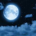 Blue Moonさんのプロフィール画像