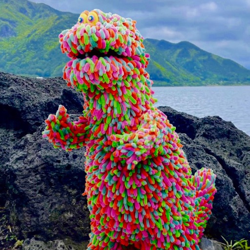 新品未使用！Size.L　VALIEM バリエム　MONSTER MOUTH 新品未使用！Size.L VALIEM バリエム MONSTER MOUTH MONSTER