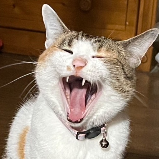 kozujin