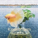 kinakina2907さんのプロフィール画像