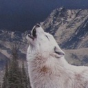 Whitewolfさんのプロフィール画像