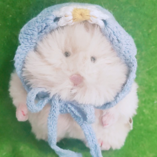 にゃいふく☆
