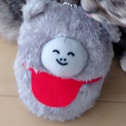 専用ページ｜Yahoo!フリマ（旧PayPayフリマ）