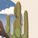 xerophile cactusさんのプロフィール画像