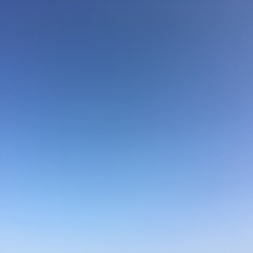 秋