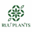 輸入植物のRUUPLANTSさんのプロフィール画像