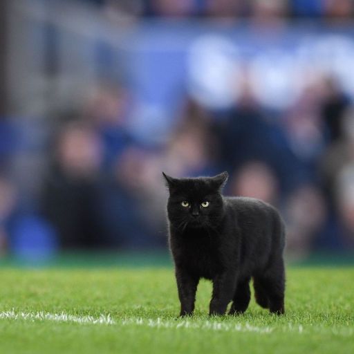 Yahoo!オークション - 【FRIDAY当選品】佐野なぎさ 直筆サイン入りチェ