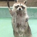 Nanさんのプロフィール画像