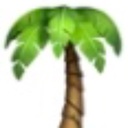 Palm treeさんのプロフィール画像