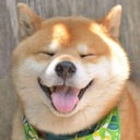 柴犬 太郎さんのプロフィール画像