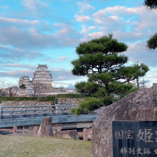 クマ