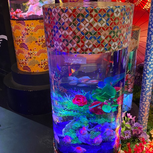 A H P L AHPL チェリーボーイ｜Yahoo!フリマ（旧PayPayフリマ）