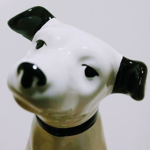 しらかばくん