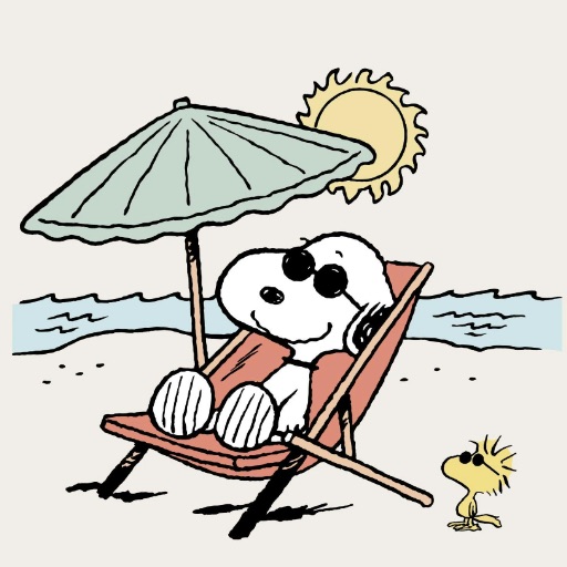SUNNY