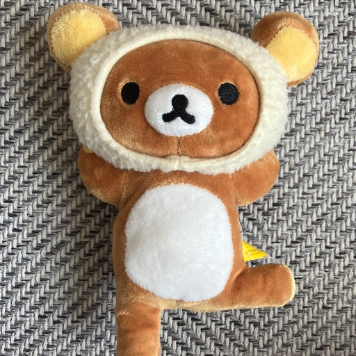 新物』天然鬼くるみ（大量）10kg｜Yahoo!フリマ（旧PayPayフリマ）