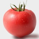 tomatoさんのプロフィール画像
